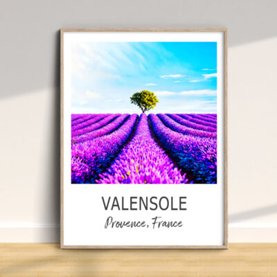 Lavender fields poster, Valensole, Provence, France