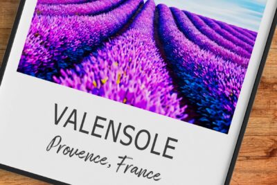 Lavender fields in Valensole, Provence, France.