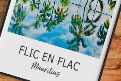 Flic en Flac Mauritius palm tree reflection photo.