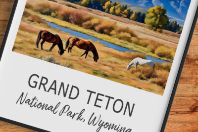 Horses grazing in Grand Teton National Park, Wyoming