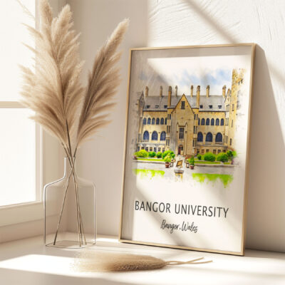 Bangor University campus artwork in frame near vase