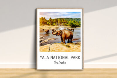 Elephants bathing in Yala National Park, Sri Lanka